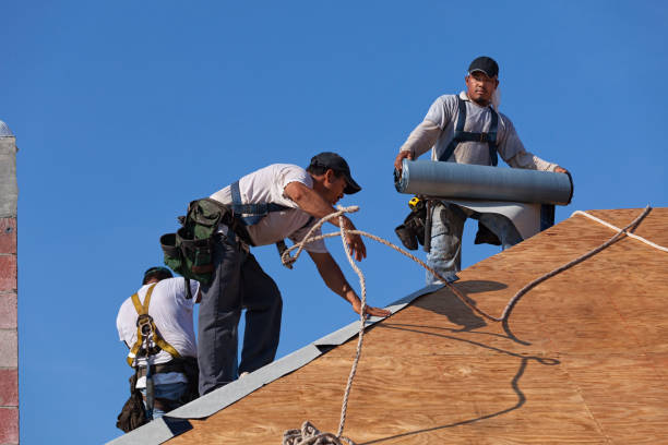 Best Roof Replacement Cost  in Nicholasville, KY