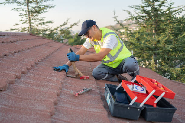 Best Commercial Roofing Services  in Nicholasville, KY