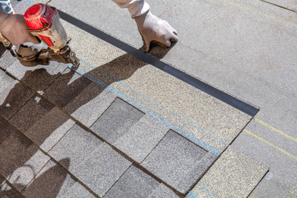 Best Storm Damage Roof Repair  in Nicholasville, KY
